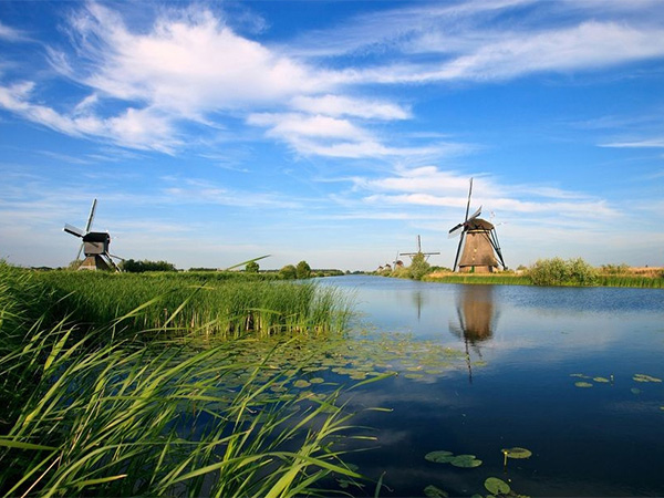 How we deliver public value