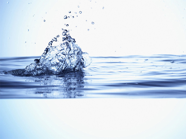 Professional brand experience