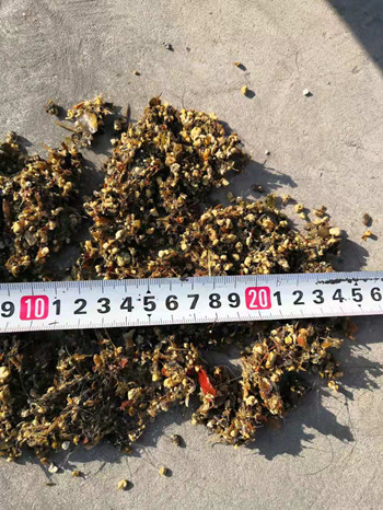 Hunan baihengsheng environmental protection Co., Ltd